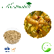 100% Natural Ingredient The Best Cleaner Soapnut Extract / Sapindus Mukorossi