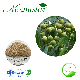  100% Natural 40%-70% Saponins Soap Nut Extract / Soapnut Extract