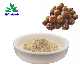 Soap Nut Extract Saponins Pure Sapindus Extract Soapnut Extract for Shampoo