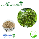  Factory Supply Natural Plant Extract Sapindus/Soapnut Saponins Extract for Remove Bacteria Cleaner