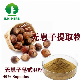  E. K Herb Factory Free Sample 10: 1 40%-80% Sapindus Best Cleaner Agent Washing Powder Soapnut Soap Nut Extract Sapindus Mukorossi Fruit Extract Soapnut Extract