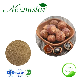  Remove Bacteria Cleaner Plant Extract 40%Soapnut Extract 70%Saponin Extract
