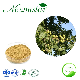  ISO Certified Soapnuts Detergent for Washing Free Sample Soapnut Extract Sapindosides with High Quality