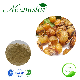  40% 50% 70% Soapnut Extract for Bath Cream Liquid Soap Bar Soap Anti-Virus