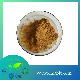  Best Price 40% Sapindoside Sapindus Saponaria Extract Powder Soapnut Saponin