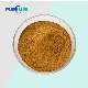  Competitive Price Sapindus Fruit Sapindus Powder Soapnut Extract Powder