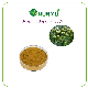  ISO Factory Supply 80% Soapnut Saponin Sapindus Food Grade Sapphora Seed Soapnut Extract Powder