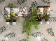  Hotel Amenities Luxury Hotel Toiletries Hotel Soap Bar Hotel Set