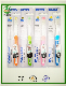  30PC Stand High Quality Packing Hot Sales Adult Toothbrush