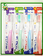 Send Free Tube High Quality Toothbrush with Cap