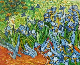 Vincent Van Gogh Irises Oil Painting for Decoration