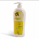 GMPC ISO Factory OEM Service Basic Cleaning New Formula Shampoo manufacturer