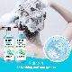  Wholesale Sea Salt Mint OEM Private Label Custom Organic Shampoo and Conditioner Set Hair Care Oil Control Sea Salt Shampoo