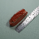 Recyclable Hotel Foldable Short Wheat Straw Hair Comb manufacturer