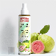  High Quality Brand Deodorant Body Spray Perfume Fragrance Mist for Wholesale