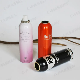  Aluminum Aerosol Spray Container for Automobile Cleaning Agent (PPC-AAC-021)