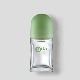  Plastic Lipstick Transparent Bottle Clear Custom Lip Gloss Roller Ball Tube
