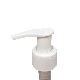  Glass Bottle Hand Sanitizer Liquid Cream Skin Care Lotion Pump for Cleaning Products Skin Care
