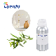  Australian Eucalyptus Fragrance for Aroma Diffuser