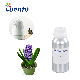 Pink Hyacinth Essential Oil for Aroma Diffuser