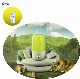  Top Jasmine Fragrance for Aromatherapy, Aroma Diffuser