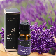 Wholesale Outstanding Lavender Scents Pure Essential Oil 100% Pure Natural Oil