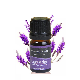  Hot Selling Custom Scent Oil Lavender Pure Essential Oil Essential Home Fragrance Oil