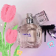 Chessfly Love Paris Women Perfume 50ml Body Mist Coco Poison Bleu