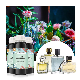  Bulk Enriched Parfum Oil Concentrated Fragrance for Perfume Branded Making