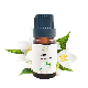 China Bulk Fragrance Oil Manufacturer Long Lasting Jasmine Candle Scent Fragrance