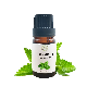 Peppermint Fragrance Oil for Candle Making China Bulk Fragrance Manufacturer