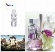  Bulk French Perfume Fragrance for Men′ S Perfume