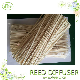  Fragrance Perfume Evaporate Rattan Stick