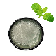  Peppermint Extract Menthol/Menthol Crystal CAS 89-78-1