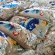  Wholesale 15kg 20kg 25kg Bulk Laundry Washing Detergent Powder for Both Hand and Machine Washing