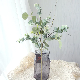  50cm Green Spray Eucalyptus Leaves Preserved Eucalyptus Branch Artificial Floral Spray Flower