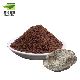 DDP Price for Natural Deer Musk Pods Extract Deer Musk Powder