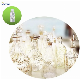  Paris Famous Brand Beautiful Women Perfume Fragrance