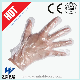  Disposable Medical Protective Plastic PE HDPE CPE LDPE Plastic Gloves (CE, ISO certificated)