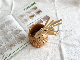  Disposable Bamboo Straw Hot Sale Eco-Friendly Product 6.2*200 mm