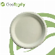 Eco-Friendly Disposable Biodegradable Paper Oval Plates for Food or Fruit manufacturer
