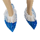  Universal Size Disposable Waterproof Double Layer Bottom Non Slip Shoe Covers PP+CPE Low Boot Cover Blue and White Shoecovers Dust Cover for Shoes