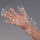Food Usage Disposable Plastic Glove at HDPE LDPE