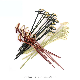 Recyclable Eco-Friendly Disposable Bamboo Fruit Knotted Skewers for Party Cocktail Decorative manufacturer