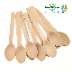  Compostable Disposable Tool Birch Wooden Tasting Spoon for Dessert Party Supplies