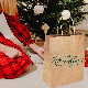  Paper Factory Direct Sale High End Custom Logo Brown Kraft Paper Bags