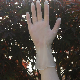  Industrial Grade Disposable Civil Using Extra Strong Vinyl Glove