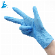  Glove Supplies Disposable Anti Slip Nitrile Vinyl Blended Gloves for Powder Free