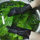  Black Vinyl Disposable Gloves Small 100 Pack Latex Free Non Powder Exam Home Cleaning and Food Gloves