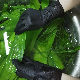 Disposable Tattoo Manicure Beauty Chef Black Nitrile Rubber Gloves
